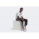 Брюки adidas Originals Adicolor Classics Firebird Primeblue Track Pants GN3517 - черные