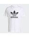 Футболка adidas Originals Adicolor Classics Trefoil Tee H06644 - белая