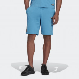 Шорты adidas Originals R.Y.V Graphic HC9469 - синие