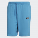 Шорты adidas Originals R.Y.V Graphic HC9469 - синие