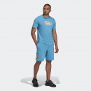 Шорты adidas Originals R.Y.V Graphic HC9469 - синие