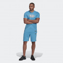 Футболка adidas R.Y.V. Graphic HC9475 - синяя