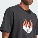 Футболка adidas Originals Flames Logo IS0178 - черная