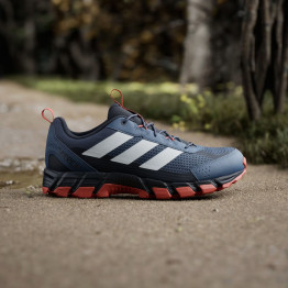 Мужская обувь adidas Terrex Rockadia KJ0411 - синие
