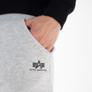 Штаны Alpha Industries Basic Jogger SL 11637017 - серые