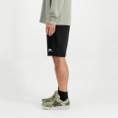 Мужские шорты Alpha Industries Small Logo II 15636703 - черные