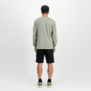 Мужские шорты Alpha Industries Small Logo II 15636703 - черные