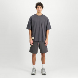 Мужская футболка Alpha Industries Studio Edition 156550684 - серая