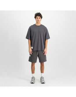 Мужская футболка Alpha Industries Studio Edition 156550684 - серая