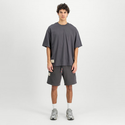 Мужская футболка Alpha Industries Studio Edition 156550684 - серая