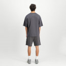 Мужская футболка Alpha Industries Studio Edition 156550684 - серая