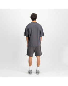 Мужская футболка Alpha Industries Studio Edition 156550684 - серая