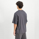 Мужская футболка Alpha Industries Studio Edition 156550684 - серая