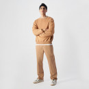 Толстовка Champion Fleece Sweatshirt 220511-MS034 - коричневая