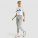 Спортивные штаны Ellesse Hallouli Jog SGK13652112 - серые