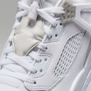 Мужские кроссовки Jordan Spizike Low FQ1759-103 - белые