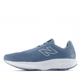 Мужская обувь New Balance Fresh Foam x 520 v9 M5204WD - голубые