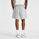 Мужские шорты New Balance MB6174CDYST - серые