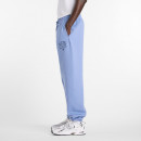 Мужские брюки New Balance Reimagined Fleece Jogger MB61E74AAA3 - синие