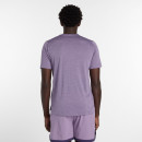 Мужская футболка New Balance MT41253AB7 - фиолетовая