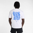 Мужская футболка New Balance MT61B2STWT - белая