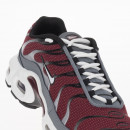 Кроссовки Nike Air Max Plus CD0609-602 - красные