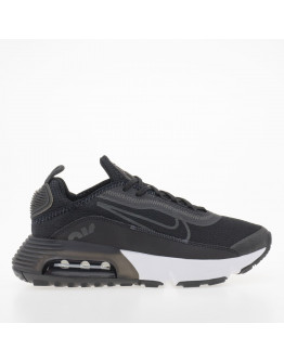 Кроссовки Nike Air Max 2090 DD3236-001 - черные