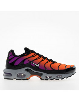 Мужские кроссовки Nike Air Max Plus DM0032-014 - мультиколор