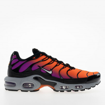 Мужские кроссовки Nike Air Max Plus DM0032-014 - мультиколор