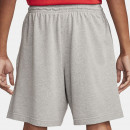 Шорты Nike Club FQ4359-063 - серые