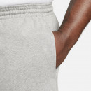 Шорты Nike Club FQ4359-063 - серые