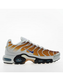 Мужская обувь Nike Air Max Plus FZ3308-700 - многоцветные