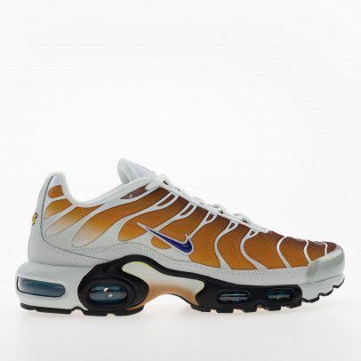 Мужская обувь Nike Air Max Plus FZ3308-700 - многоцветные