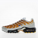Мужская обувь Nike Air Max Plus FZ3308-700 - многоцветные