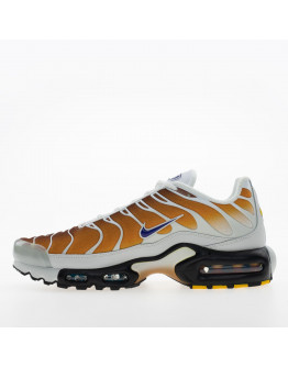 Мужская обувь Nike Air Max Plus FZ3308-700 - многоцветные