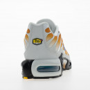 Мужская обувь Nike Air Max Plus FZ3308-700 - многоцветные