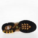 Мужская обувь Nike Air Max Plus FZ3308-700 - многоцветные