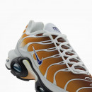 Мужская обувь Nike Air Max Plus FZ3308-700 - многоцветные