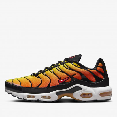 Кроссовки Nike Air Max Plus HF0552-001 - многоцветные