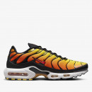 Кроссовки Nike Air Max Plus HF0552-001 - многоцветные
