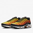 Кроссовки Nike Air Max Plus HF0552-001 - многоцветные