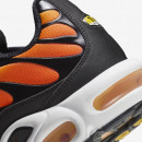 Кроссовки Nike Air Max Plus HF0552-001 - многоцветные