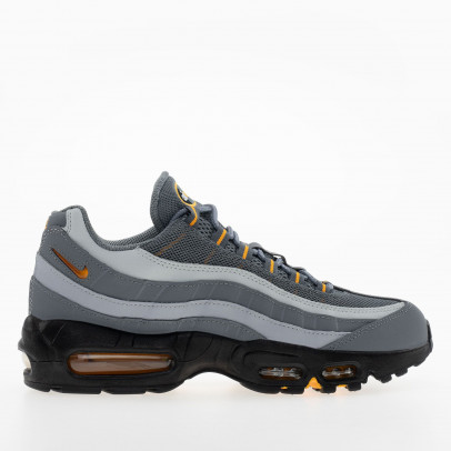 Мужские кроссовки Nike Air Max 95 HV6062-002 - серые