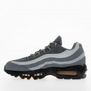 Мужские кроссовки Nike Air Max 95 HV6062-002 - серые