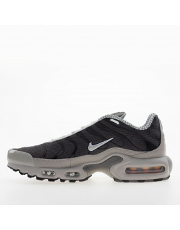 Мужская обувь Nike Air Max Plus IB7679-200 - серые