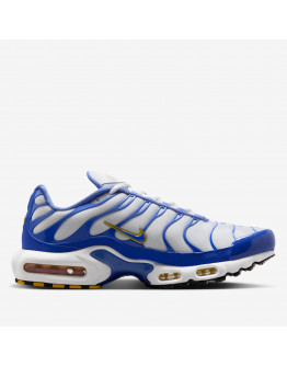 Мужская обувь Nike Air Max Plus IF6224-100 - синие