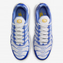 Мужская обувь Nike Air Max Plus IF6224-100 - синие