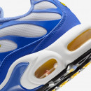 Мужская обувь Nike Air Max Plus IF6224-100 - синие