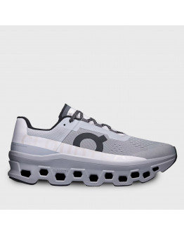 Мужские кроссовки On Running Cloudmonster 61.97657 - серые