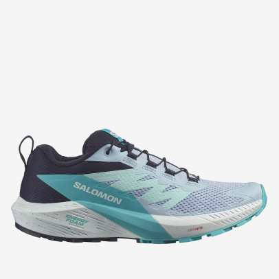 Кроссовки Salomon Sense Ride 5 L47458900 - синие